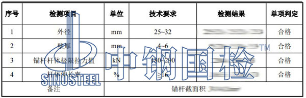 錨桿檢測項目結果