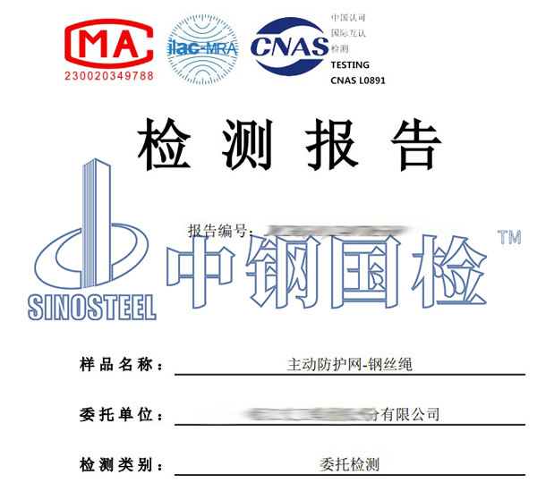 防護(hù)網(wǎng)檢測報(bào)告