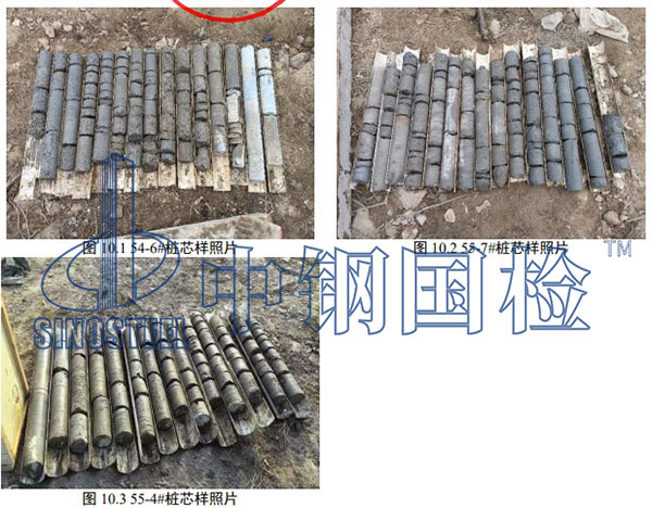 樁芯照片