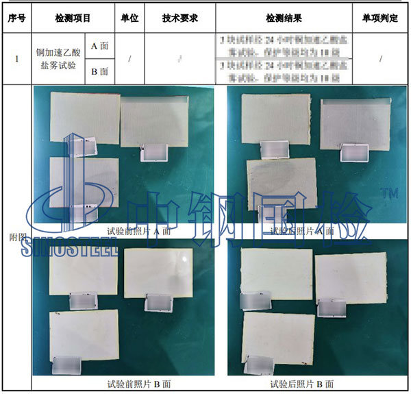 乙酸鹽霧試驗檢測項目結果