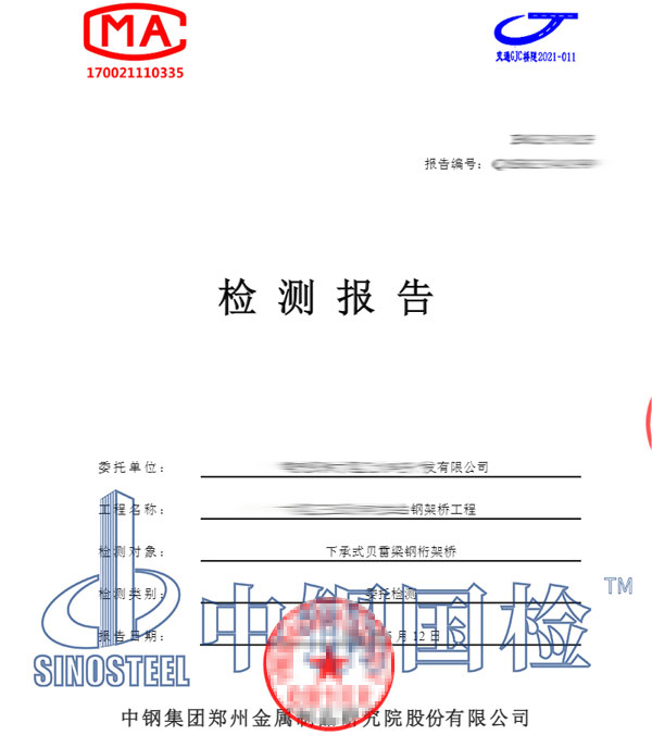 鋼架橋檢測報告