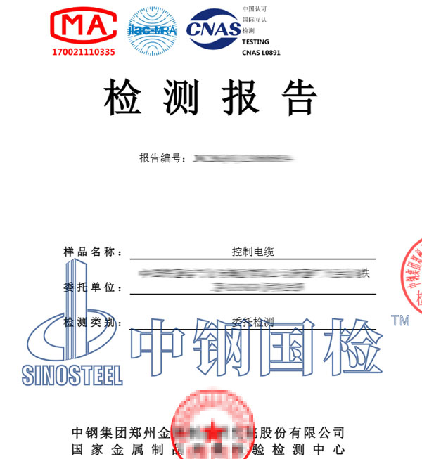 成束燃燒試驗(yàn)檢測報(bào)告